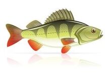 Mariscos para la pancreatitis